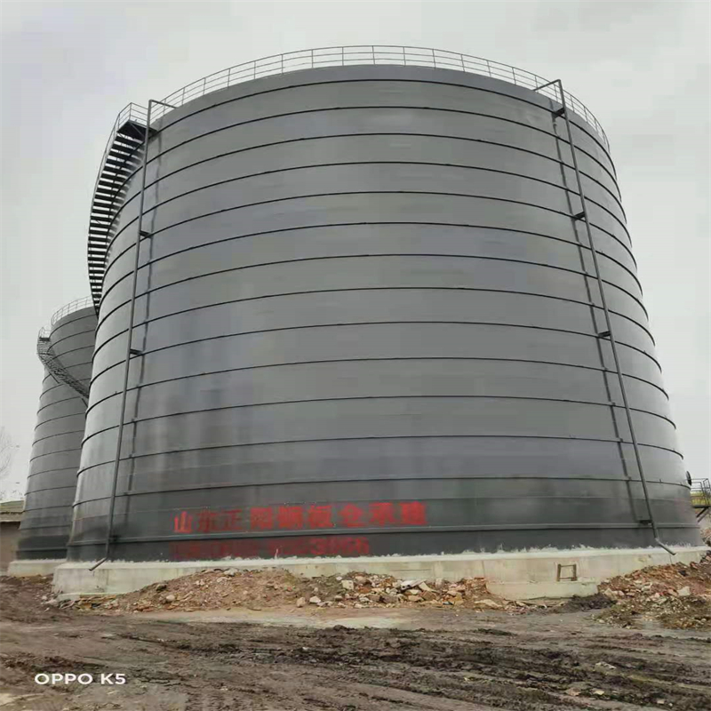 莺歌海镇3万吨大型钢板库